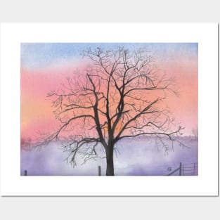 Winter Walnut Tree Silhouette in Sunrise Posters and Art